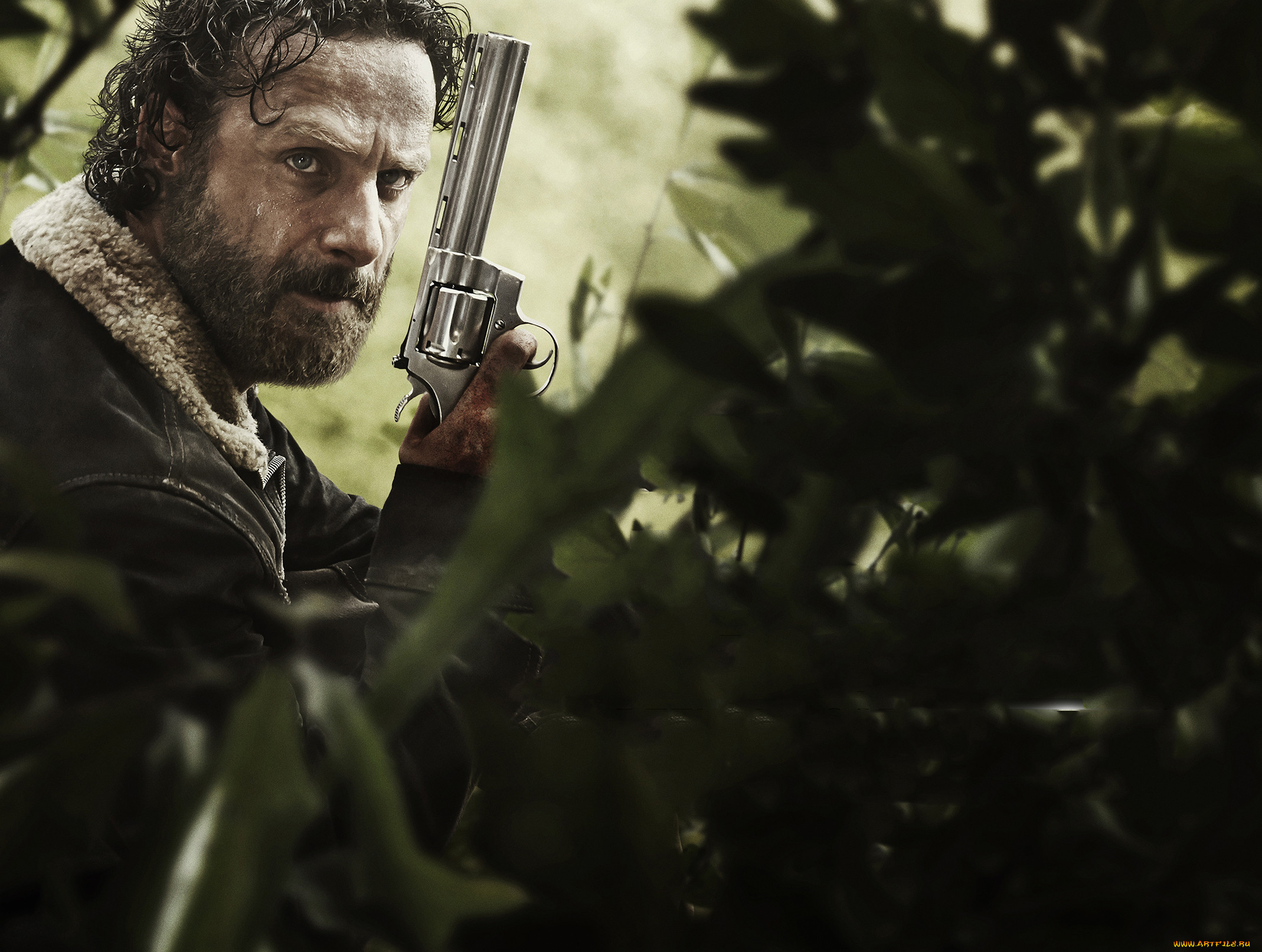  , the walking dead, , , dead, walking, the, , , , 